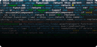 Technology & Platform Strategy