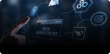 Technology & Platform Strategy